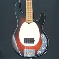 USED 中古 Stingray4 (Burnt Apple)