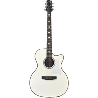 【期間限定！アクセ11点セット付き！】YATK-1400EC/SW(N) Sヤイリ