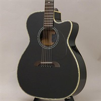 【特価】 【店頭展示特価】WY-2 BK Kヤイリ