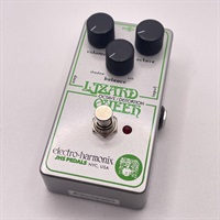 USED 中古 Lizard Queen