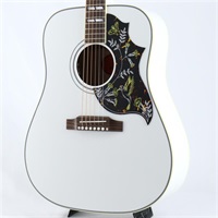 Hummingbird Maple Alpine White Gloss  ギブソン