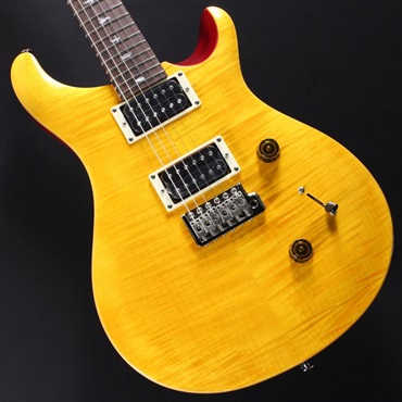 P.R.S. SE Custom 24 (Vintage Yellow) #CTI H023164【2025年生産品】