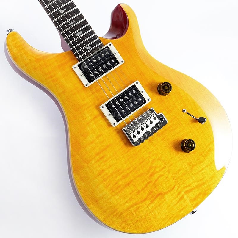 P.R.S. SE Custom 24 (Vintage Yellow) SN.H021775 2025年生産品