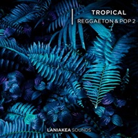 Tropical Reggaeton & Pop 2 (ポップ)(レゲトン)(R&B)(トロピカルハウス)(オンライン納品)(2時間以内に納品)