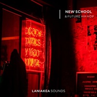 New School & Future Hip Hop (ニュースクール)(トレンドサウンド)(サンプルパック)(オンライン納品)(2時間以内に納品)