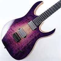 Duvell Elite 6 Maple-Wenge Neck (Purple Iris Gloss)