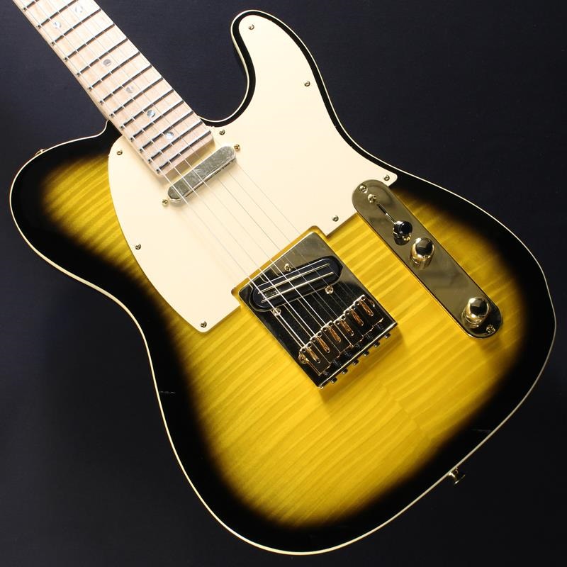 Fender Richie Kotzen テレキャス　2000年製 Fender Made in Japan USED 中古 Richie Kotzen Telecaster (Brown