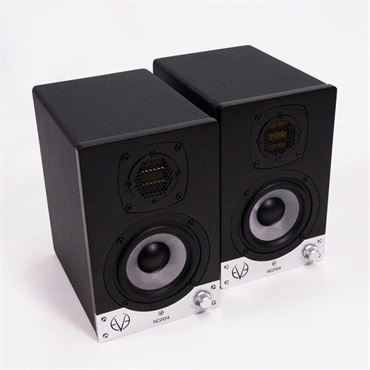EVE Audio TS108 (受注製品)(アクティブサブウーファー)(8インチ