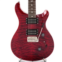 USED 中古 SE Custom 24 (Ruby) [SN. CTIH016042]