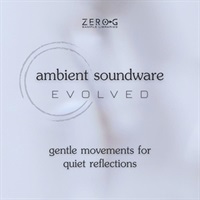 【発売記念イントロセール！】Ambient Soundware Evolved (アンビエント)(ウェーブテーブル)(シンセサイザー)(オンライン納品)(2時間以内に納品)
