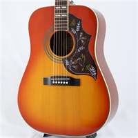 USED 中古 Hummingbird PRO FC エピフォン