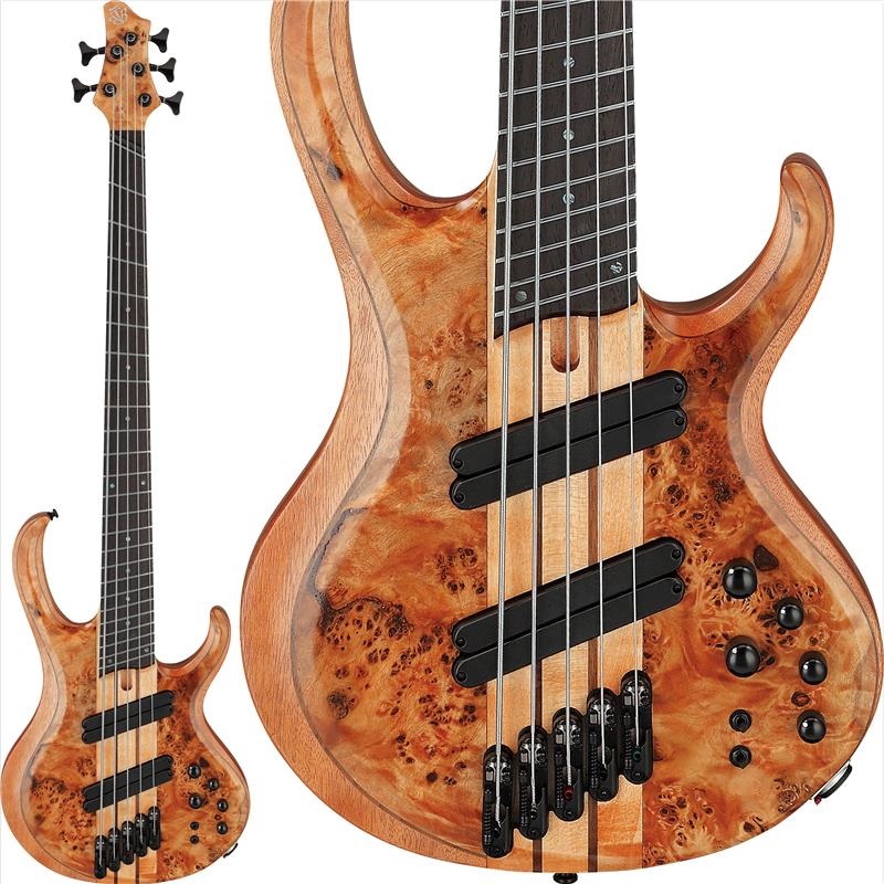 BTB805MS-FNL [SPOT MODEL]の商品画像