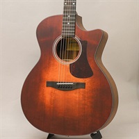 AC222-1CE CLA イーストマン