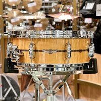 TMS1455SR-GCM [STAR Maple Snare Drum / 14×5.5][Gloss Natural Curly Maple]【Made in Japan】