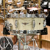 TWS1455-AWC [STAR Walnut Snare Drum / 14×5.5][Antique White Chestnut]【Made in Japan】