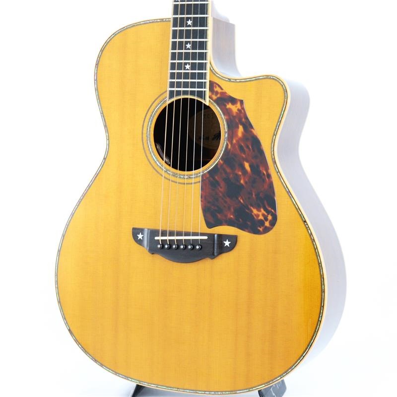 USED 中古 Terry's Terry Casual TC-M7の商品画像