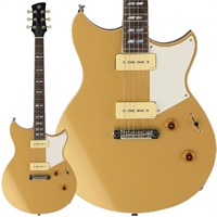 【入荷待ち、ご予約受付中】 REVSTAR Series RS02CB [SRS02CBHG]