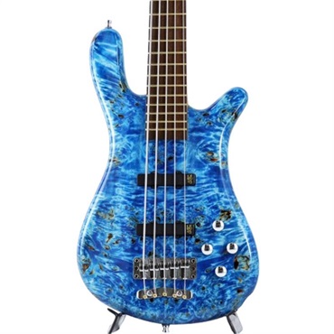 Warwick Pro Series Streamer LX 5st Birdseye Poplar Top (Bleached Blue TP HP) [Ikebe 50th Anniversary Special Edition] #014000