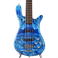 warwick streamer LX pj アクティブ ジャンク The Warwick Streamer LX - Product Demo with Andy Irvine - YouTube