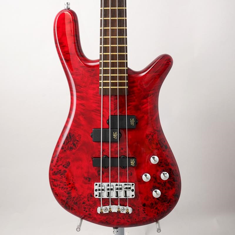 Pro Series Streamer LX 4st Birdseye Poplar Top (Dark Bleached Red TP HP) [Ikebe 50th Anniversary Special Edition] #013960の商品画像