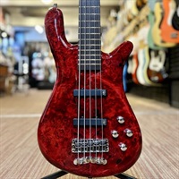 Pro Series Streamer LX 5st Birdseye Poplar Top (Dark Bleached Red TP HP) [Ikebe 50th Anniversary Special Edition] #13959