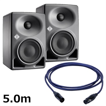 NEUMANN KH 80 DSP A G (ペア)【PASSGO BLUEスピーカーケーブルセット