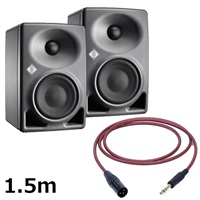KH 80 DSP A G  (ペア)【PASSGO REDスピーカーケーブルセット(TRS-XLR)1.5ｍ】(ノイマン)(モニタースピーカー)(KH80)(アクティブモニタースピーカー)