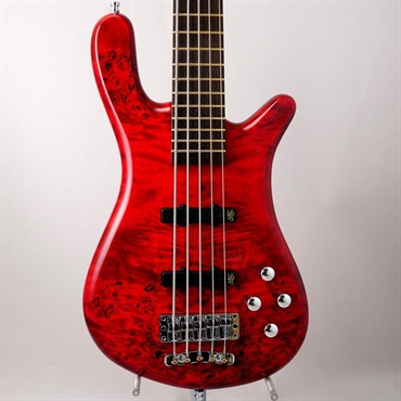 Warwick Pro Series Streamer LX 5st Birdseye Poplar Top (Dark Bleached Red TP HP) [Ikebe 50th Anniversary Special Edition] #013967