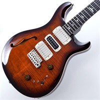USED 中古 SE Special Semi-Hollow (Orange Tiger Smokeburst) SN.CTIH027233