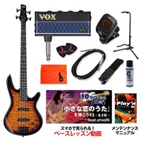 GSR280QA-TYS 【ベース初心者入門セット】