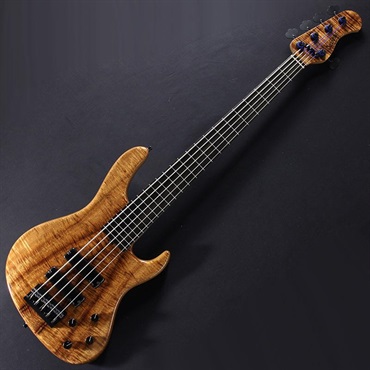 Sadowsky Guitars Limited Edition 2025 MasterBuilt 24-Fret Modern Bass 5st Fretless (AAAAA Koa Top) #025