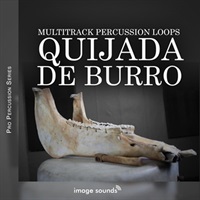 Quijada De Burro (キハーダ・デ・ブーロ)(メキシコ)(パーカッション)(サンプルパック)(オンライン納品)(2時間以内に納品)