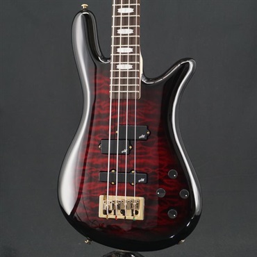 SPECTOR USED 中古 NS ICON Bolt-on 4 (Black Cherry Gloss)
