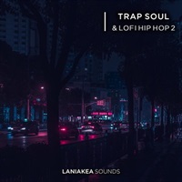 Trap Soul & Lofi Hip Hop 2 (トラップ)(ヒップホップ)(メロディック)(サンプルパック)(オンライン納品)(2時間以内に納品)