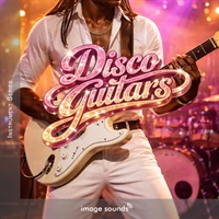 Disco Guitars (ディスコサウンド)(70年代)(ギターサウンド)(サンプルパック)(オンライン納品)(2時間以内に納品)