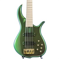 BN5 Alder body (Purple & Green [Urban Ivy] SuperShift Pearl Gloss with Gold Hardware)