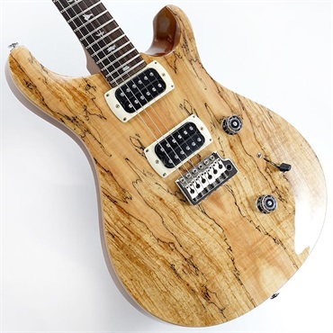Ikebe Exclusive SE Custom 24 Spalted Veneer (Natural)　SN.CTIH054418 【2025年生産品】
