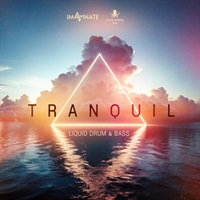 Tranquil Liquid DnB by Imaginate (ドラムンベース)(アップリフティング)(サンプルパック)(オンライン納品)(2時間以内に納品)