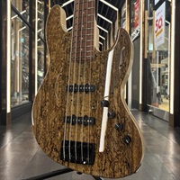 Urbanite Series Beta J5 XL SV (Spalted Oak Top)