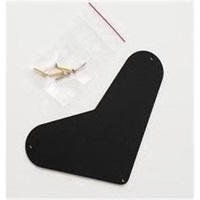 PRS Boomerang Electronics Backplate Recessed (Core)
