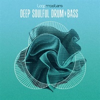 Deep Soulful Drum & Bass (ドラムンベース)(生演奏)(ダンスフロア)(サンプルパック)(オンライン納品)(2時間以内に納品)