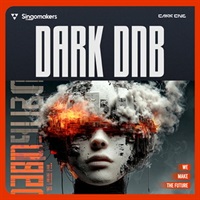 Dark DnB (ドラムンベース)(ダーク系)(ダーグラウンド志向)(サンプルパック)(オンライン納品)(2時間以内に納品)