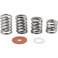 Bigsby Spring and Washer Pack (Steel) [1802775006]
