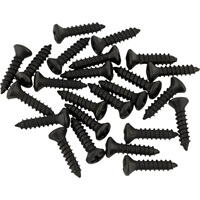 Pickguard/Control Plate Mounting Screws (24) (Black) [0018113049]