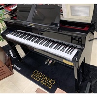 【夏のボーナスセール】カシオ GP-510BP CELVIANO Grand Hybrid (1台限定・展示クリアランス超特価!)(1都3県基本配送設置料無料)(C.ベヒシュタインコラボモデル)(3年保証)