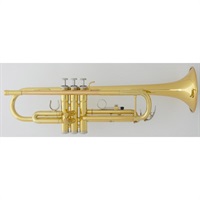 管楽器・吹奏楽器 YAMAHA 商品一覧｜イケベ楽器店オンラインストア