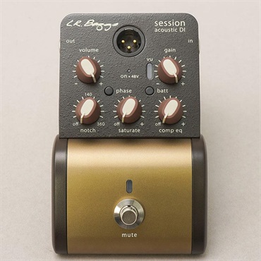 L.R.Baggs USED 中古 Session Acoustic D.I.