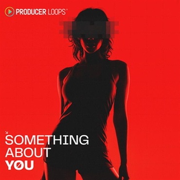 PRODUCER LOOPS Something About You (ソウルフル)(ハウスサウンド)(コンストラクションキット)(サンプルパック)(オンライン納品)(2時間以内に納品)