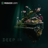 Deep In (ハウスジャンル)(ポップス)(コンストラクションキット)(オンライン納品)(2時間以内に納品)