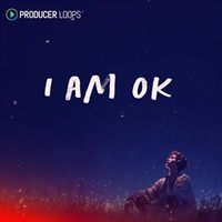 I'm OK (ヒップホップ)(ローファイ)(ヴァイナル)(チル)(コンストラクションキット)(オンライン納品)(2時間以内に納品)